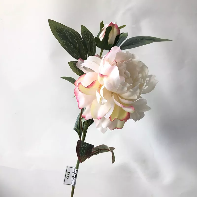 Elegante faux pioenbloei
