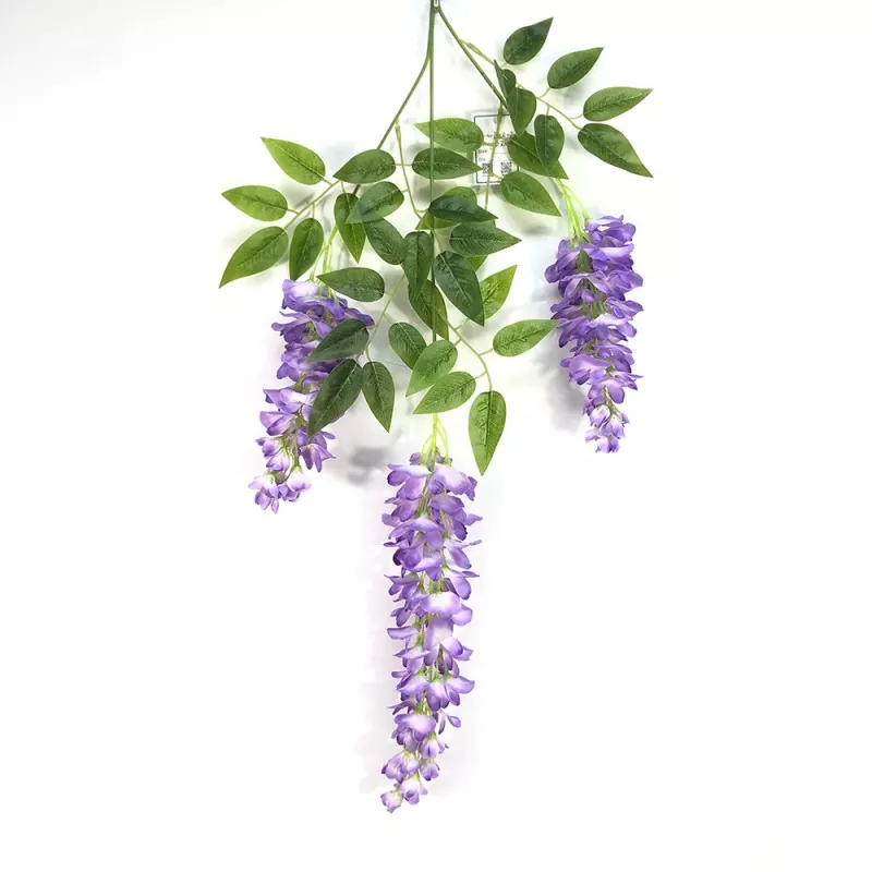 Nep Wisteria -takken